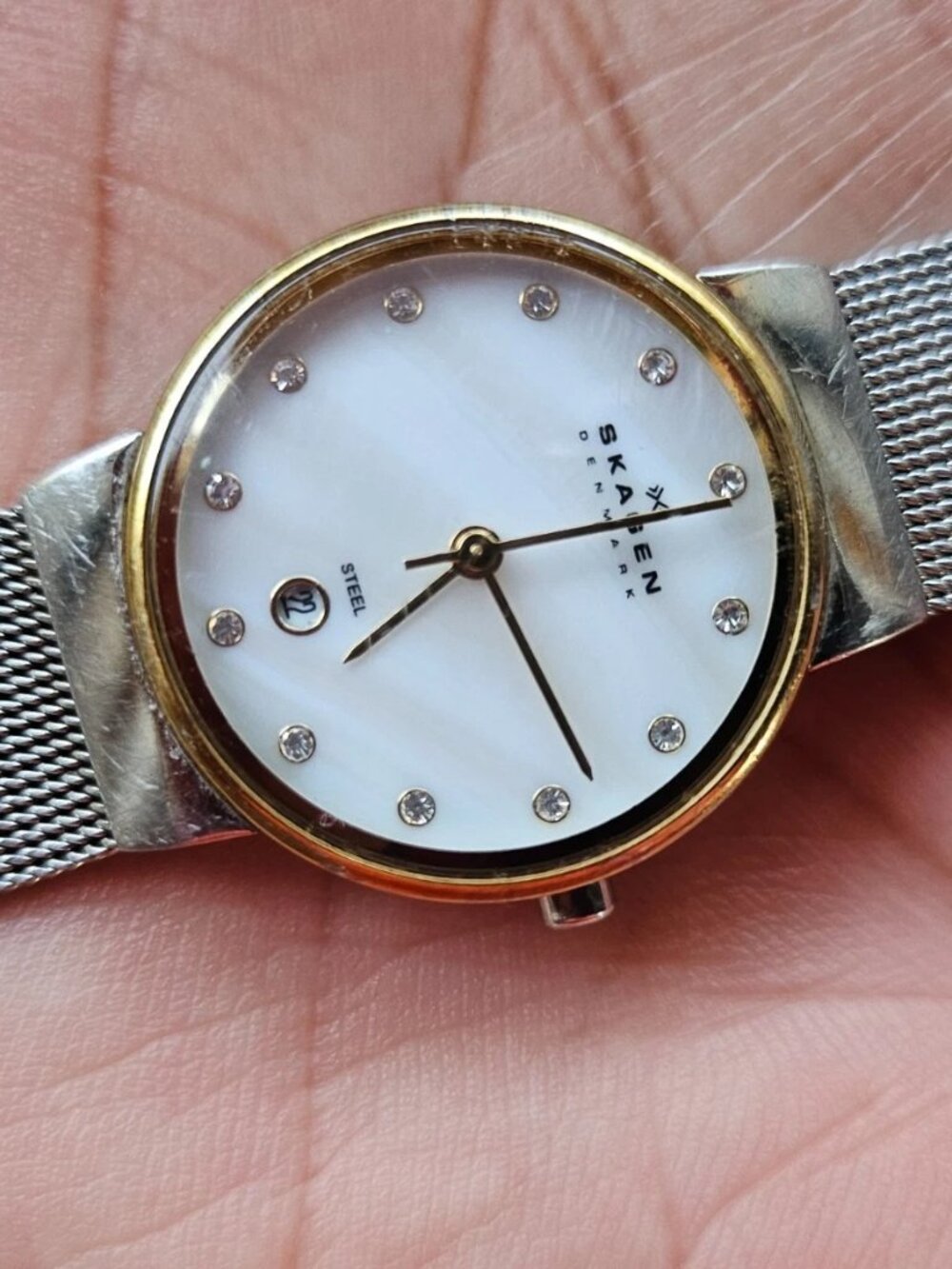 Skagen Denmark Steel Wristwatch Mother of Pearl Face Date Calendar Analog Watch